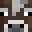 Tesicy's head