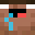 Voixed777's head