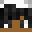Scidey's head