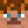 TheElegantCat's head