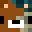 S1_B3ARZ's head