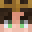 Patison_XD's head