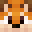Nexi_16's head