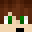 DavidmineSK's head