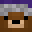 WESTICE262's head