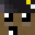 BonskoLifestyle's head