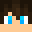 jrninjaboy915's head