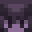 Wxt_s's head