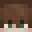 mrturtleiscool's head