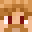 _zt5's head
