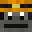 Sa1tone's head