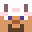 Alinoh's head