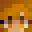 NewSpenz's head