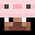 jaydenlao821's head