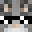 Ch0o0pper's head