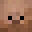 PAPUCEL's head