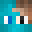 tomthegamer150's head
