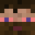 Megamil's head