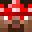 CallMeZoYT's head