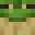 CoolToad1223's head