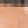 sjshark121's head