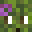 moss2s's head
