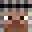 Bot6Willi31's head