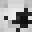 KUBEK21_37's head