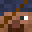 Xviill's head