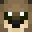 One_eyed_Leopard's head