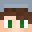 DlphinTheDolphin's head