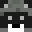 CoolKidRacoon's head