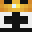 NaiptuneMC's head
