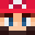 royer_pvp's head