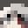 Wonder_Z's head