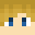 NoahPlayzzMC's head