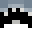 Focusseshex4017's head
