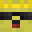 KiwiDash_'s head