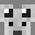 zeevyX2's head