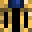 SkyNomy's head