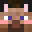 Pulpecixx's head