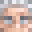 SXRCASM's head