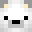 PolarPlus_'s head