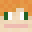 Gamer23xdYT's head