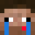 BerryNoob's head