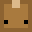 Donegt's head
