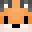 FnyxMC's head