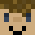 JAPI3000's head