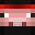 PiggXD's head