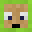 MOOS2013's head